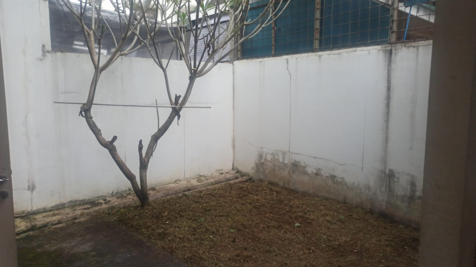 DiSewakan Rumah di Cluster Florencia Lippo Cikarang